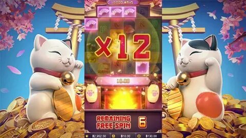 chicken road 1xbet download 