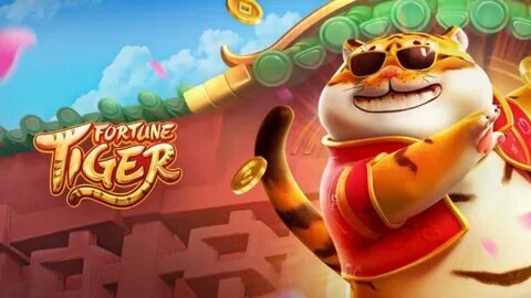 donald bet casino spribe aviator 