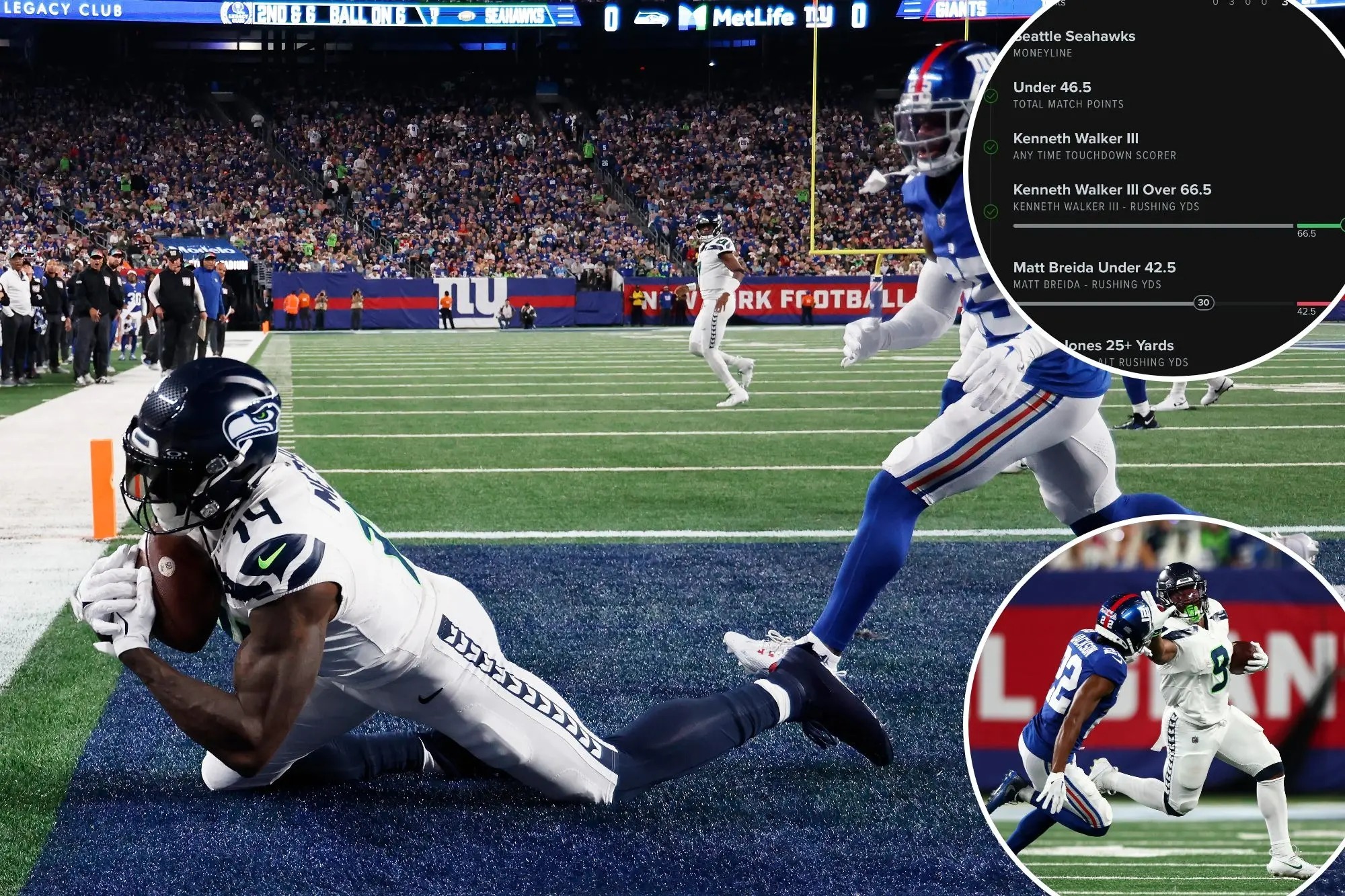 ganhando seguidores 2023 