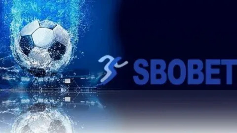 novibet bet 4 