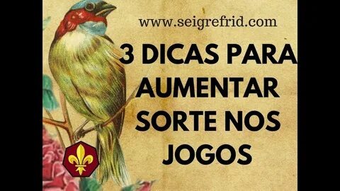 significado de soft skills 