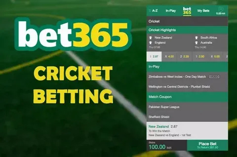 site de apostas fake 