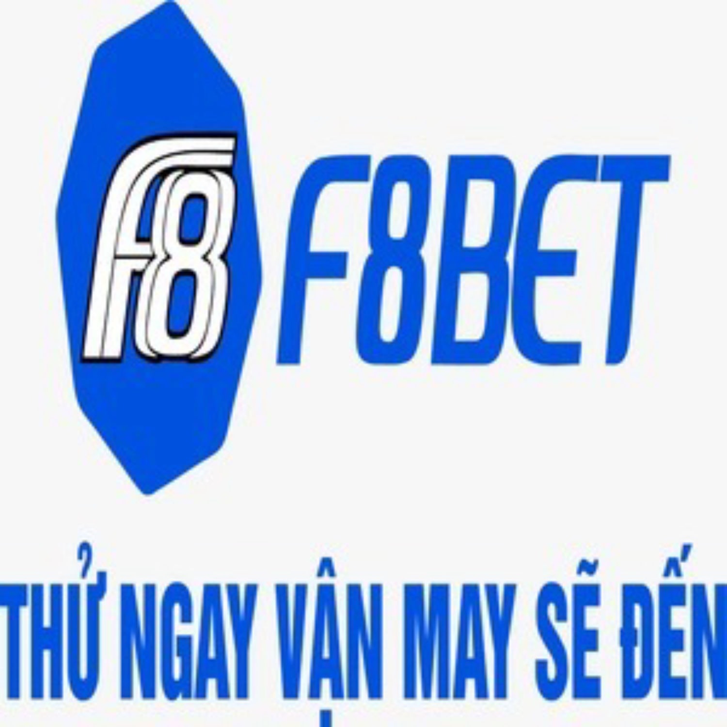 soft automotiva 