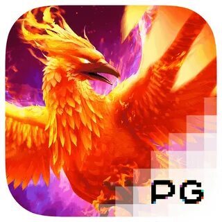 vbet bet365 